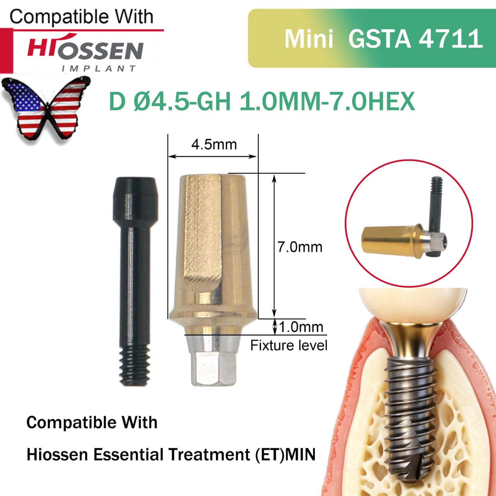 US Titanium Straight Abutment Fit Hiossen ET Osstem TS Mini/Regular Restoration