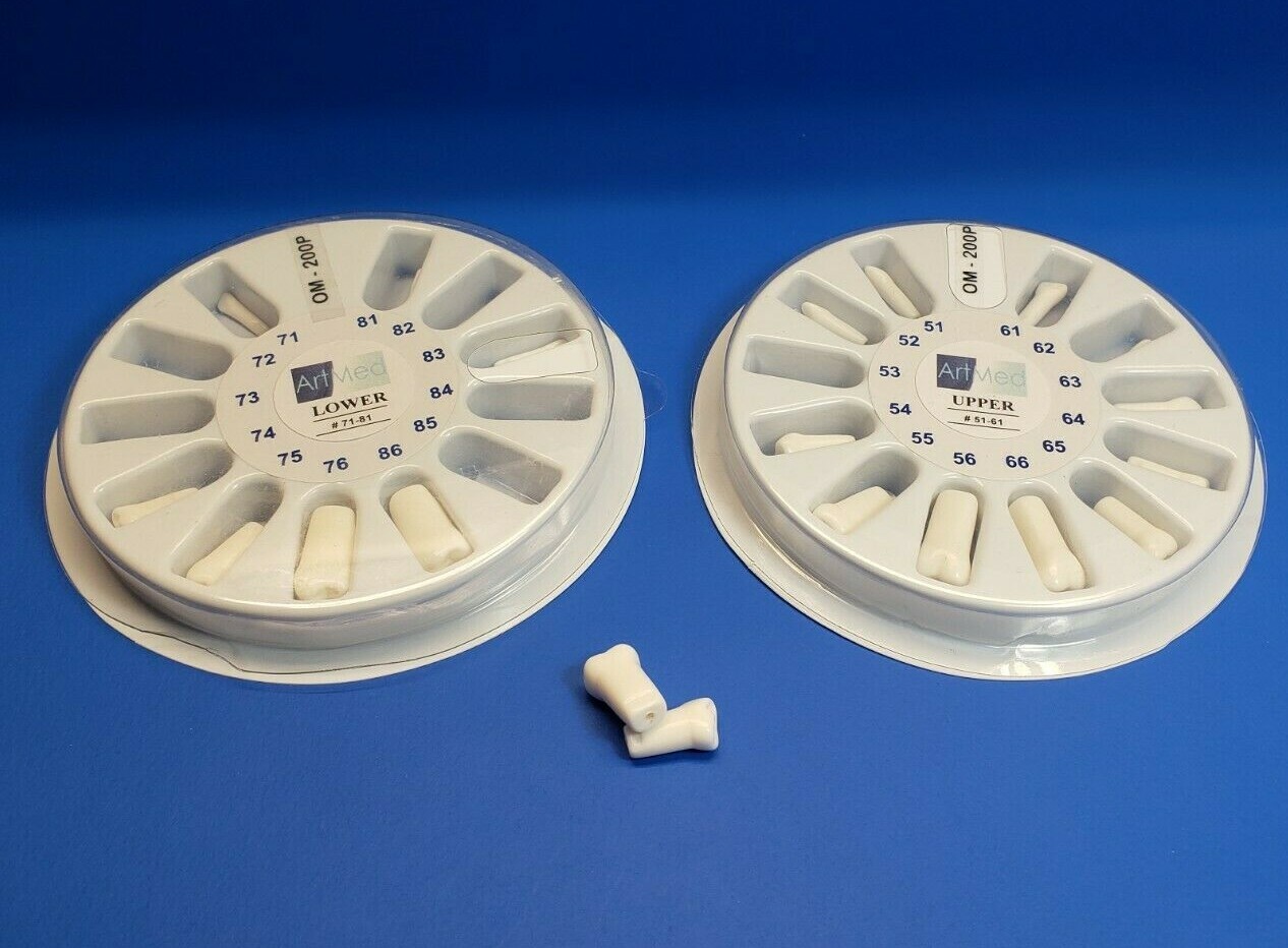 Pediatric Typodont Replacement Teeth Set Model 200G Lower + Upper Complete Set