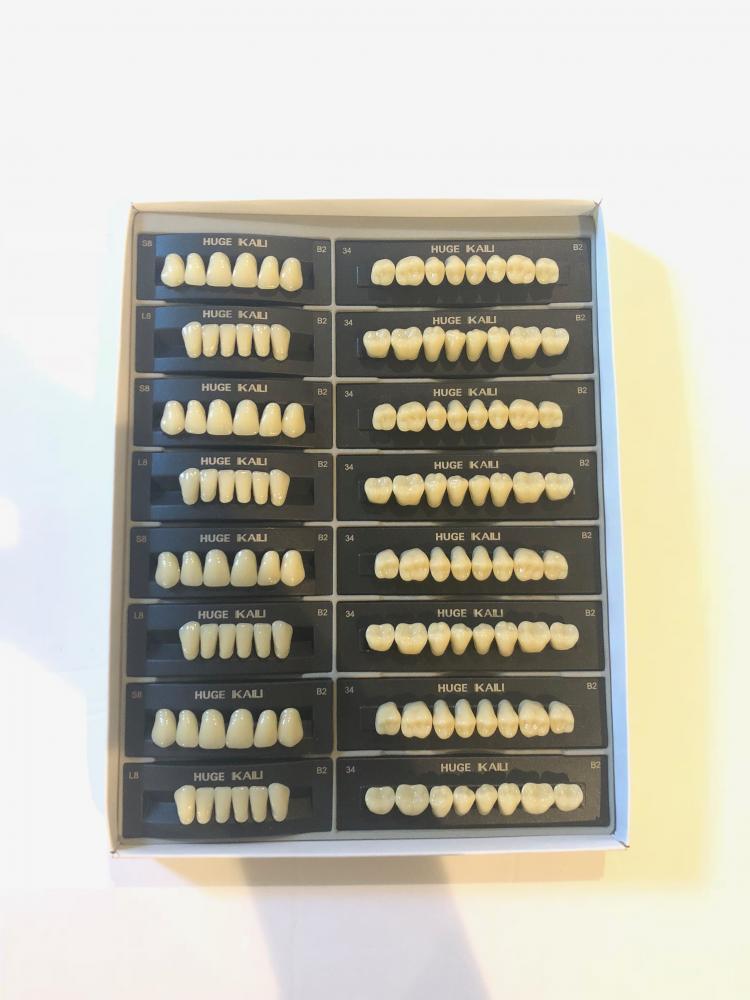 HUGE KAILI Synthetic Polymer False Teeth S8/L8/34 Full set:28 teeth/set,4 sets