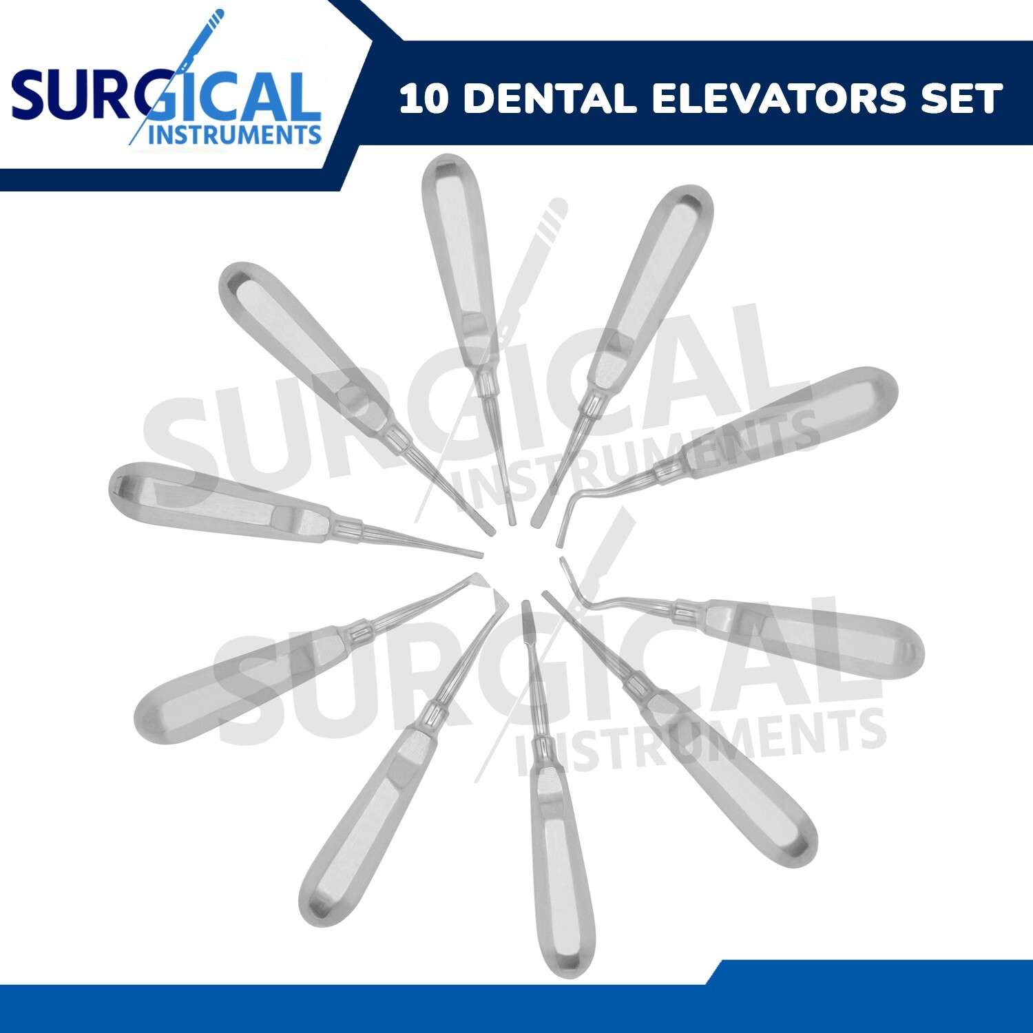 10 Pcs Dental Luxating Elevator Set Kit MIX Oral Implant Instruments German Gr