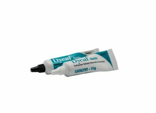 DYCAL Radiopaque Calcium Hydroxide Composition STANDARD PACKAGE