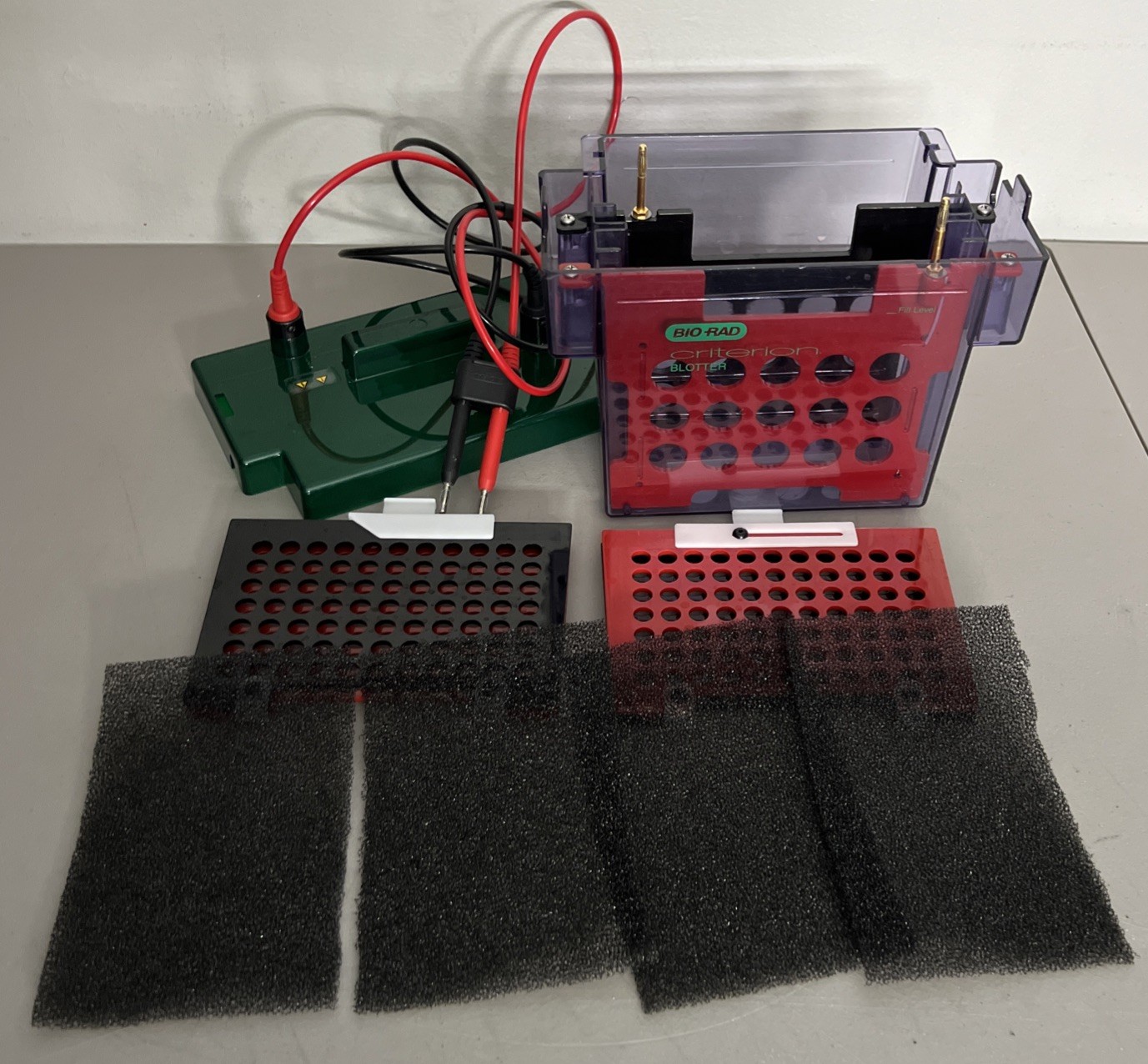 Bio-Rad 560BR Criterion Blotter Electrophoresis Cell Biorad Trans Blot Protean