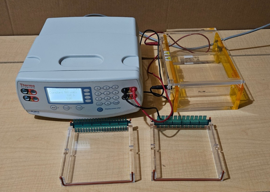 Thermo Scientific EC200XL Electrophoresis Power Supply, Gel Tank, Trays & Combs