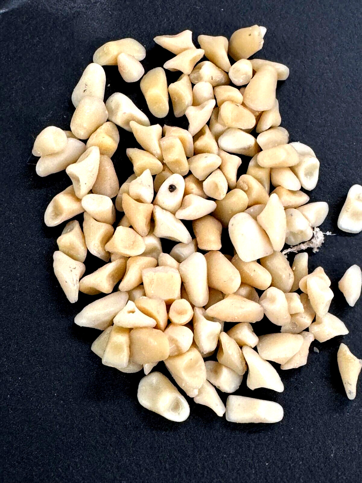 100 LOOSE TEETH DIFFERENT SIZES AND SHADES DENTURE REPAIR: CRAFT: HOBBIE