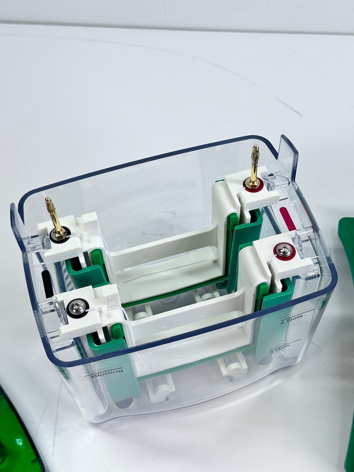 BIO-RAD PowerPac Basic Electrophoresis Power Supply w/ Mini Protean Tetra Cell