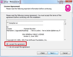 Marcando opção para aceitar os termos de uso do WAMP Server